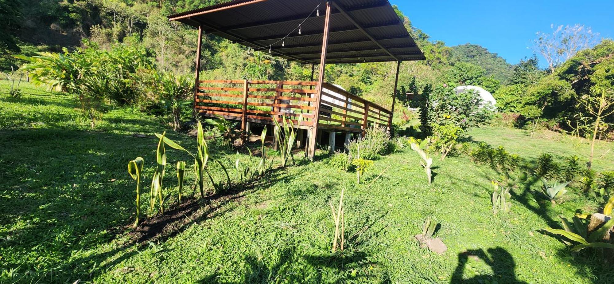 Glamping Monteverde Eksteriør bilde