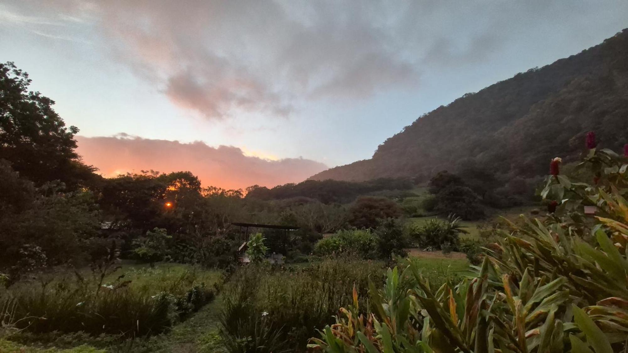 Glamping Monteverde Eksteriør bilde
