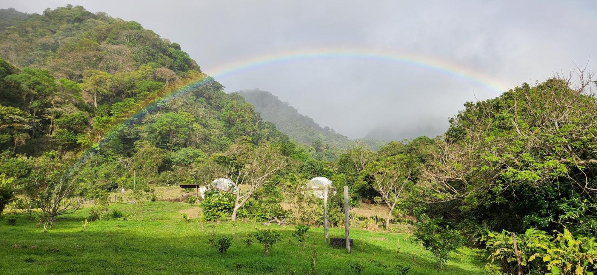 Glamping Monteverde Eksteriør bilde
