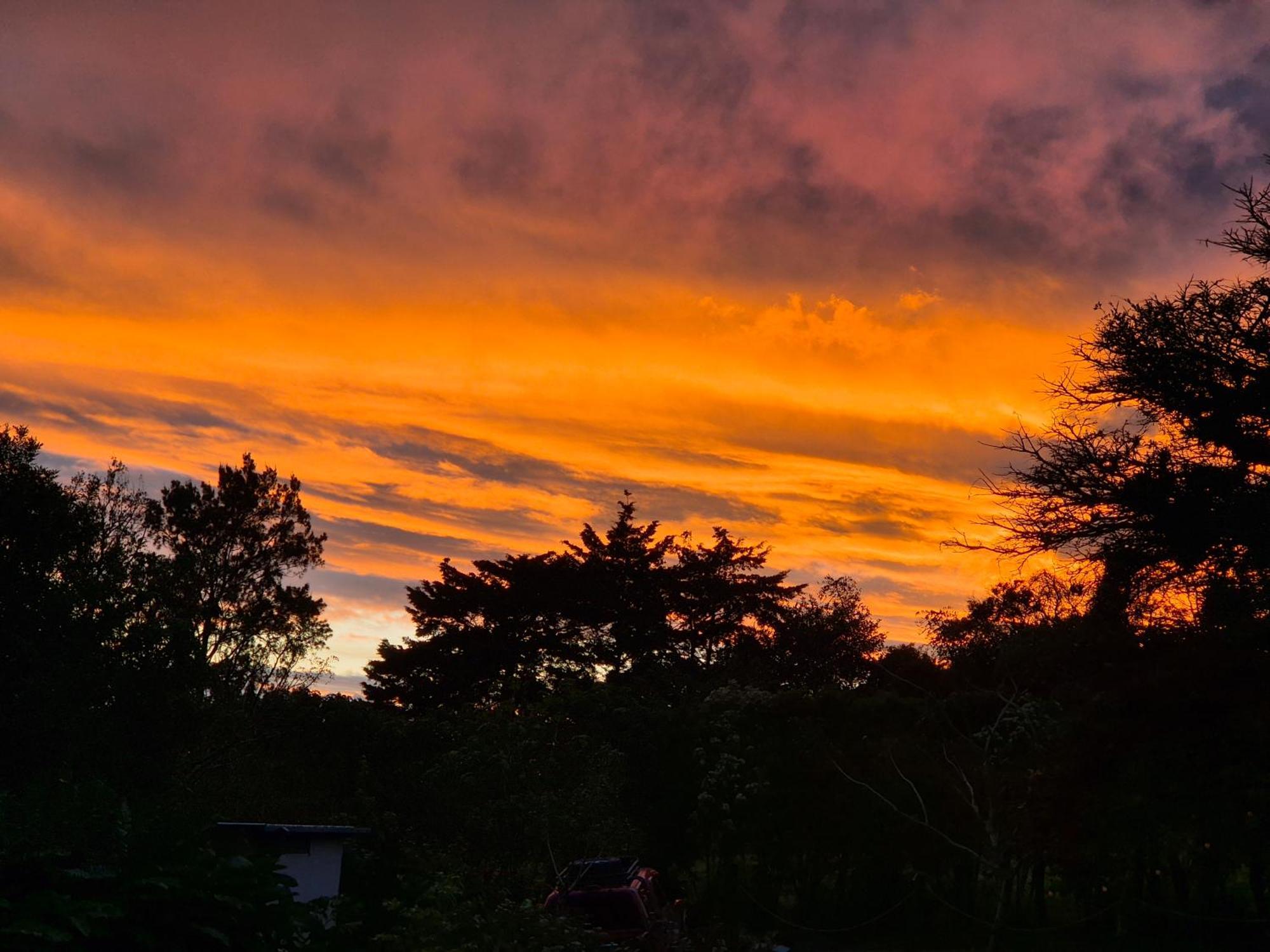 Glamping Monteverde Eksteriør bilde