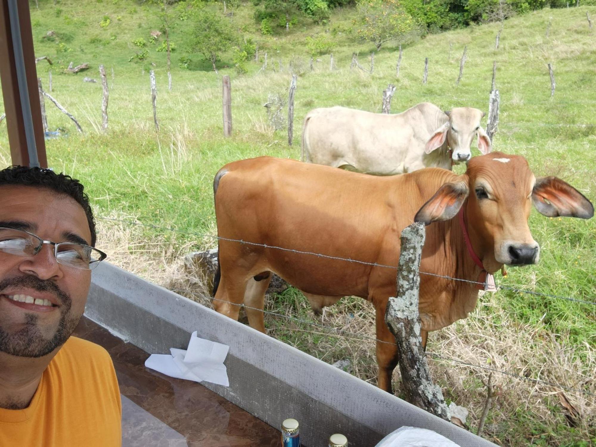 Glamping Monteverde Eksteriør bilde