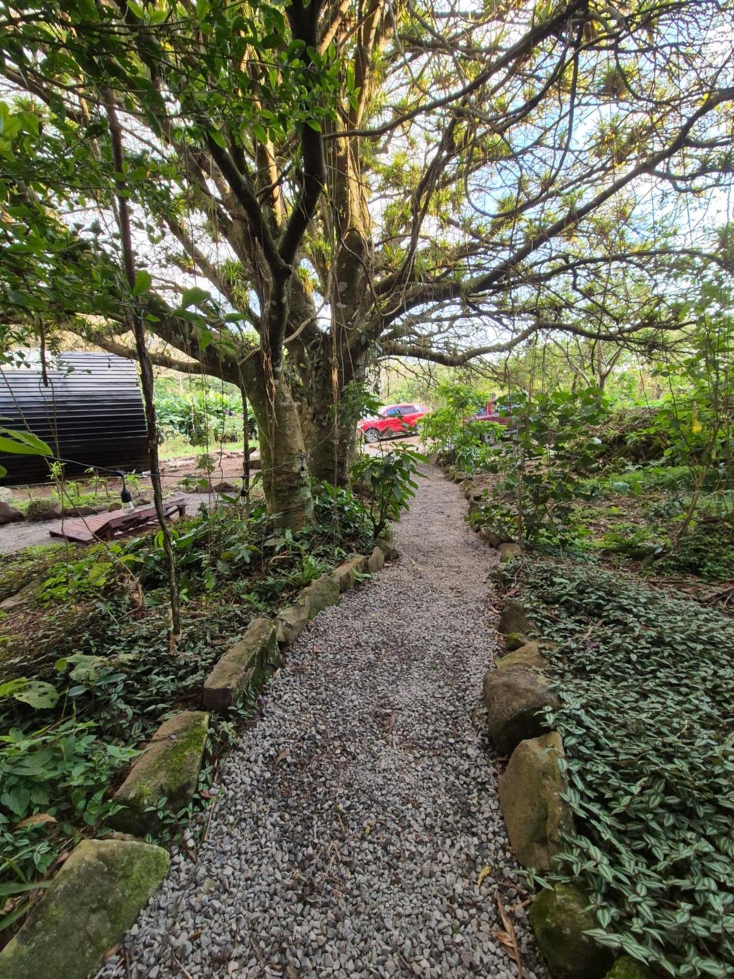 Glamping Monteverde Eksteriør bilde