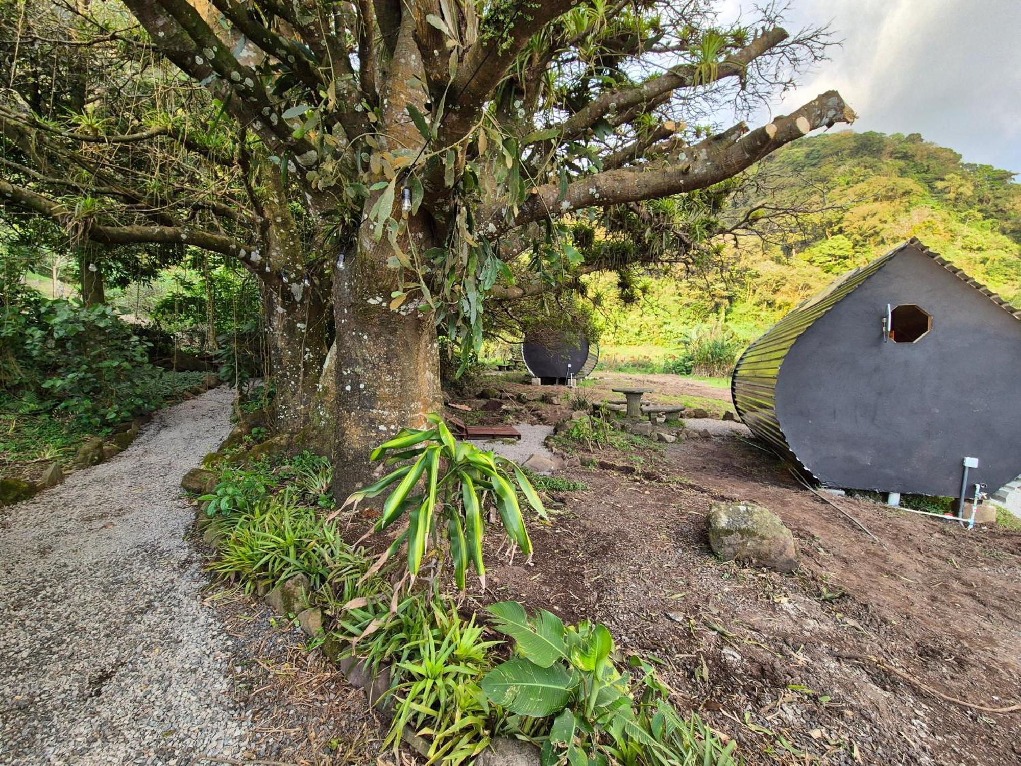 Glamping Monteverde Eksteriør bilde